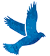 Gavilan College Intranet